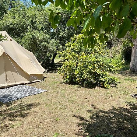 Giant Canvas Rental Tent Agro-Turismo Quinta Da Fonte ฟิเกโร โดส วิโญส ภายนอก รูปภาพ