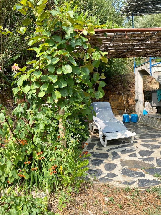 Giant Canvas Rental Tent Agro-Turismo Quinta Da Fonte ฟิเกโร โดส วิโญส ภายนอก รูปภาพ